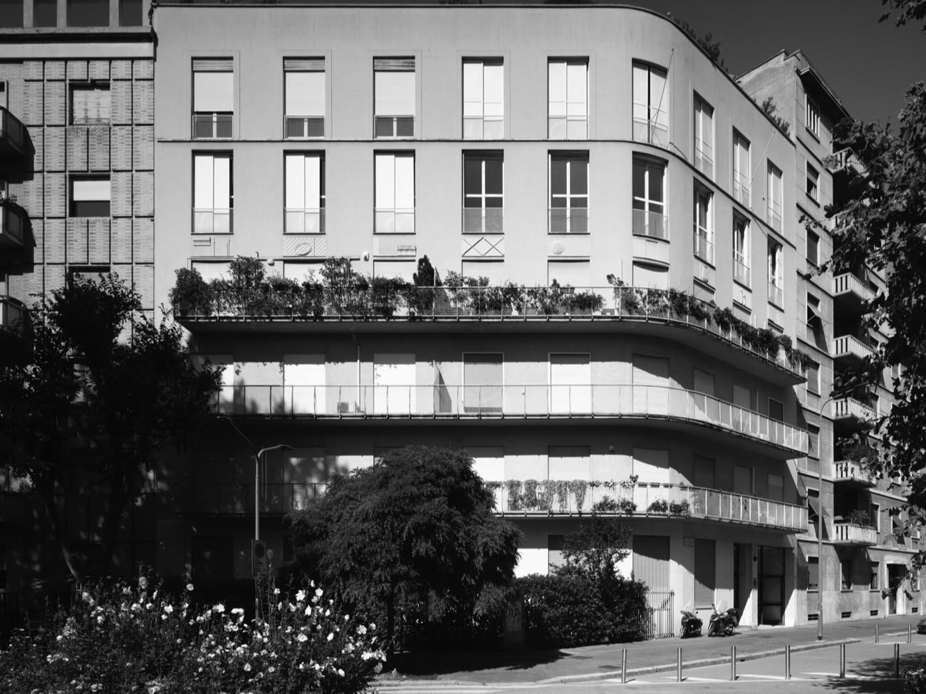 A short description about the picture goes here