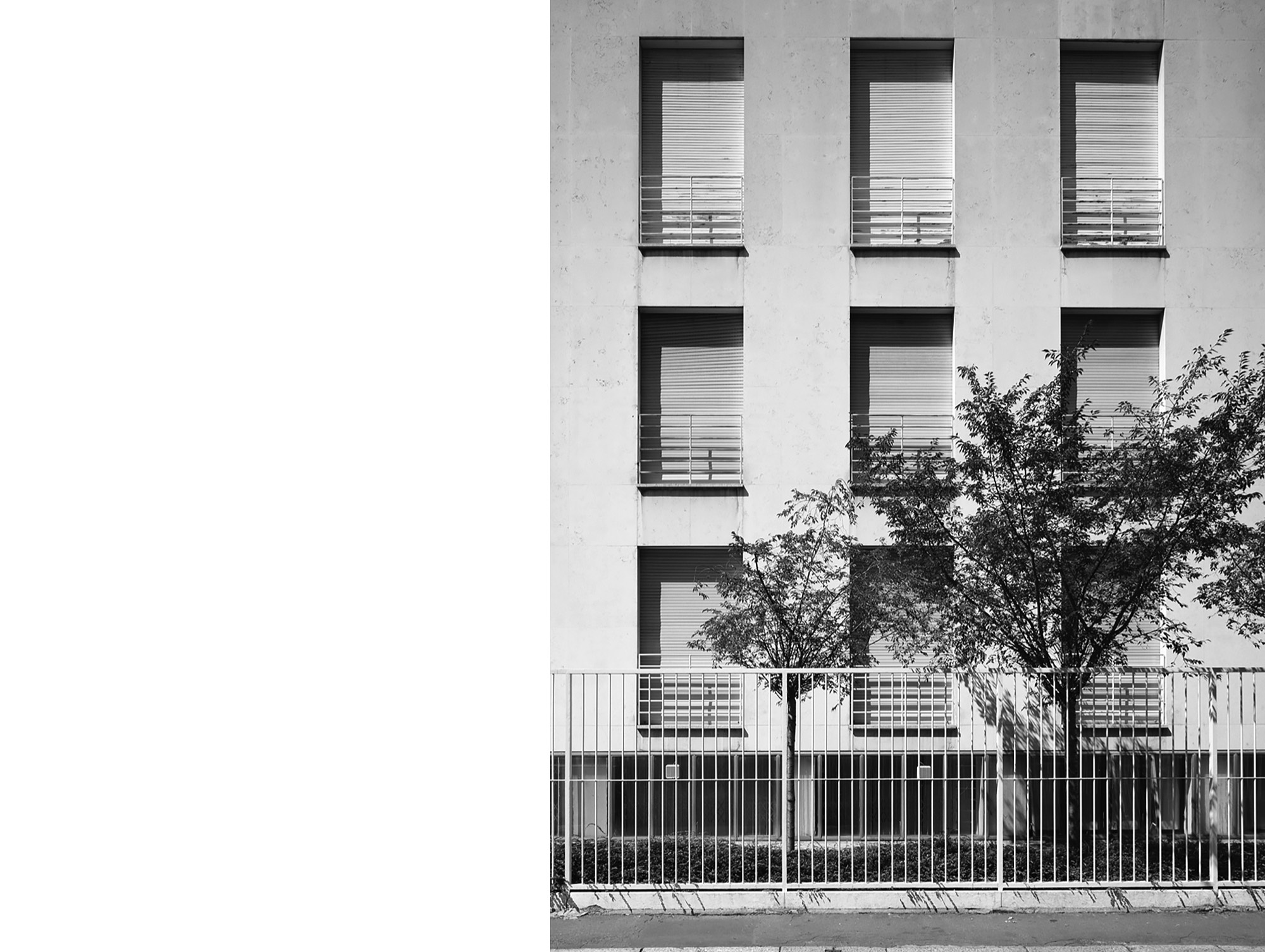 A short description about the picture goes here