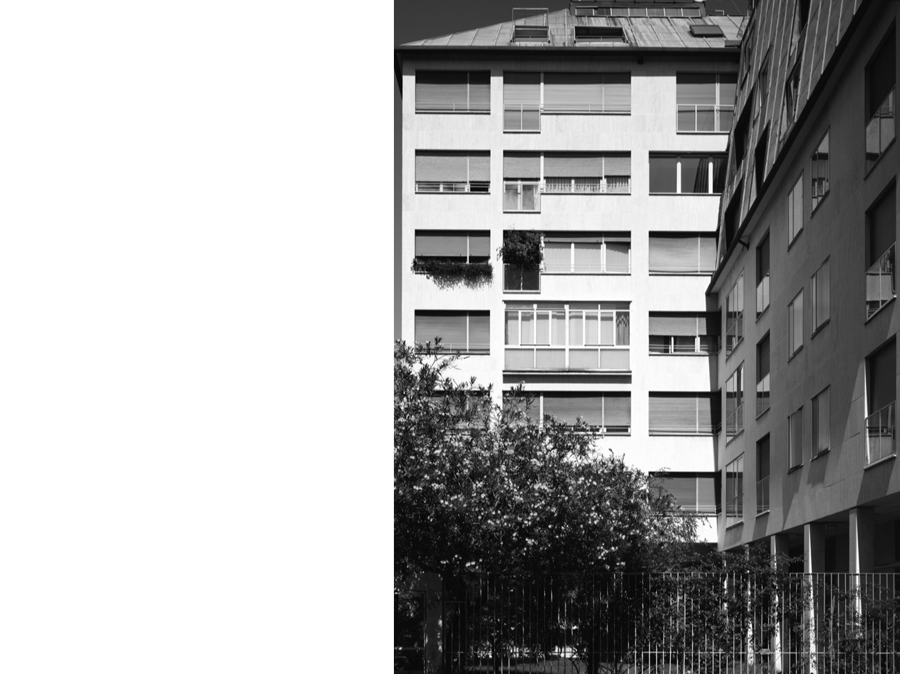 A short description about the picture goes here