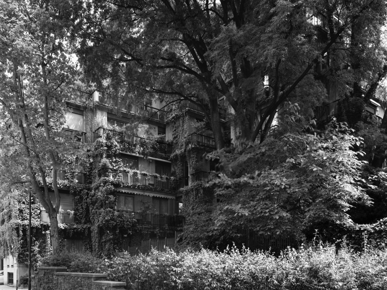 A short description about the picture goes here