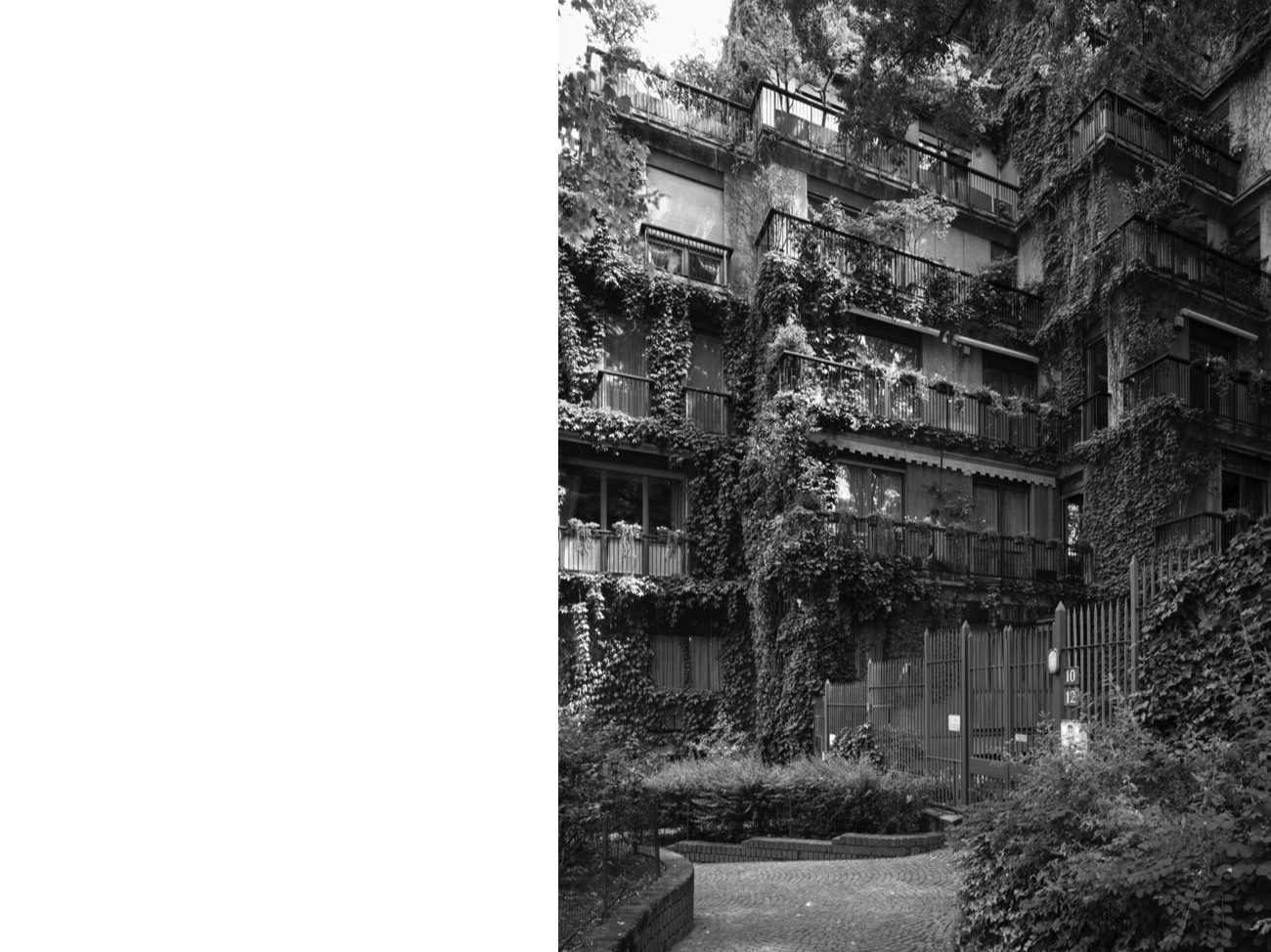 A short description about the picture goes here