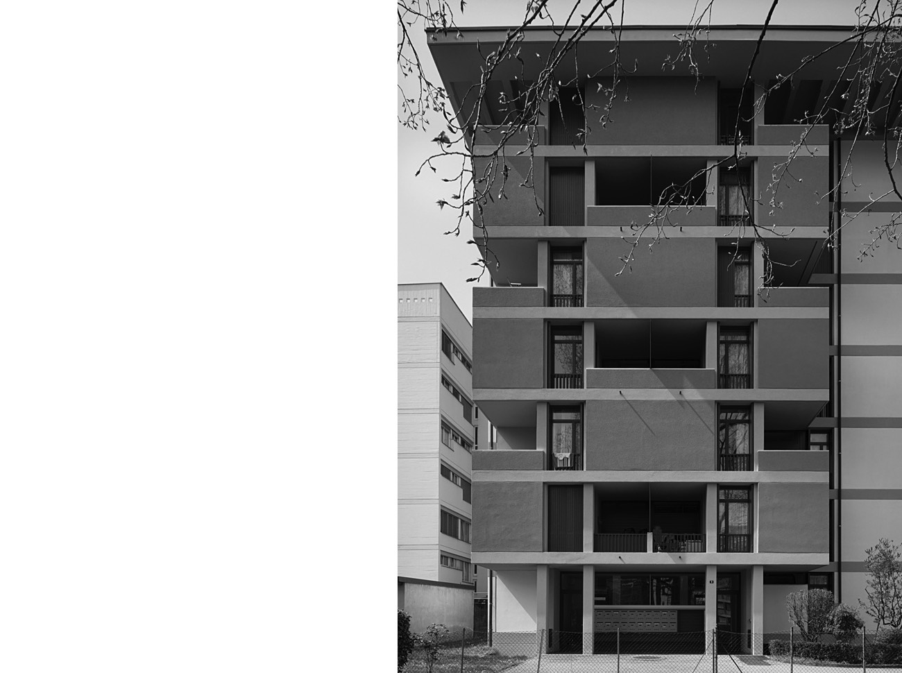 A short description about the picture goes here