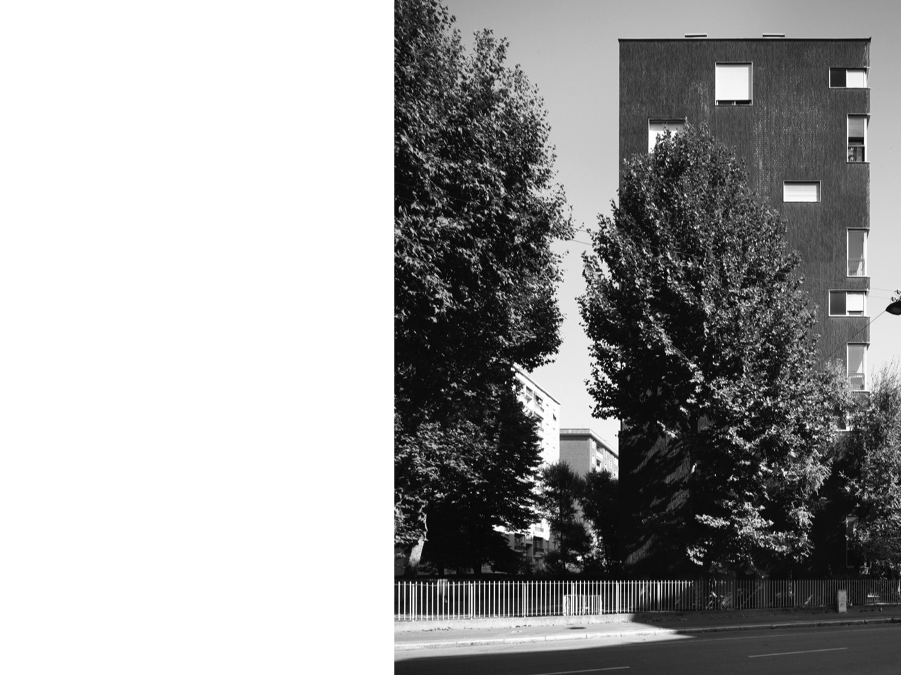 A short description about the picture goes here