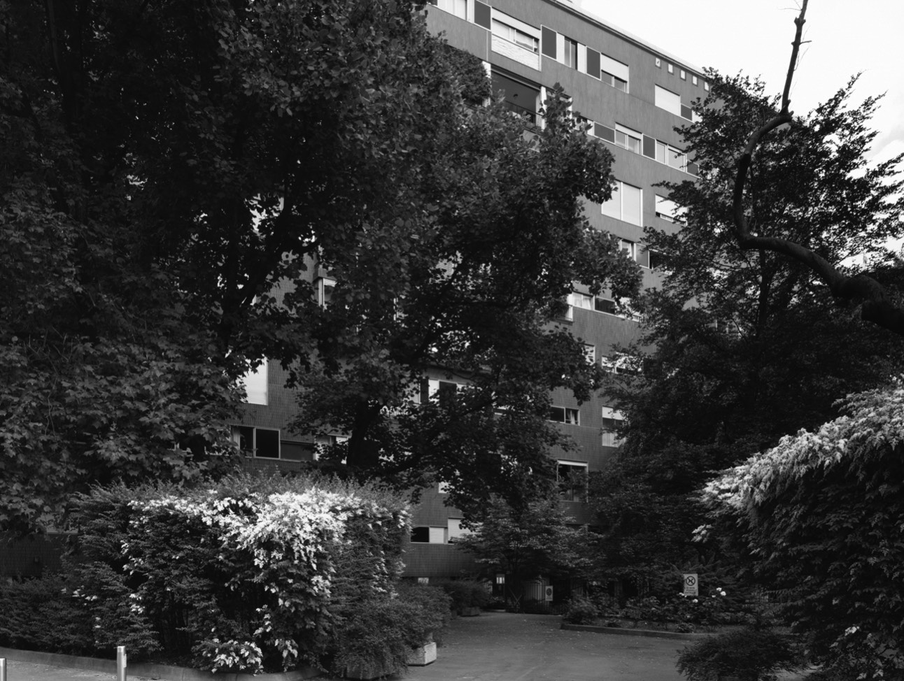 A short description about the picture goes here