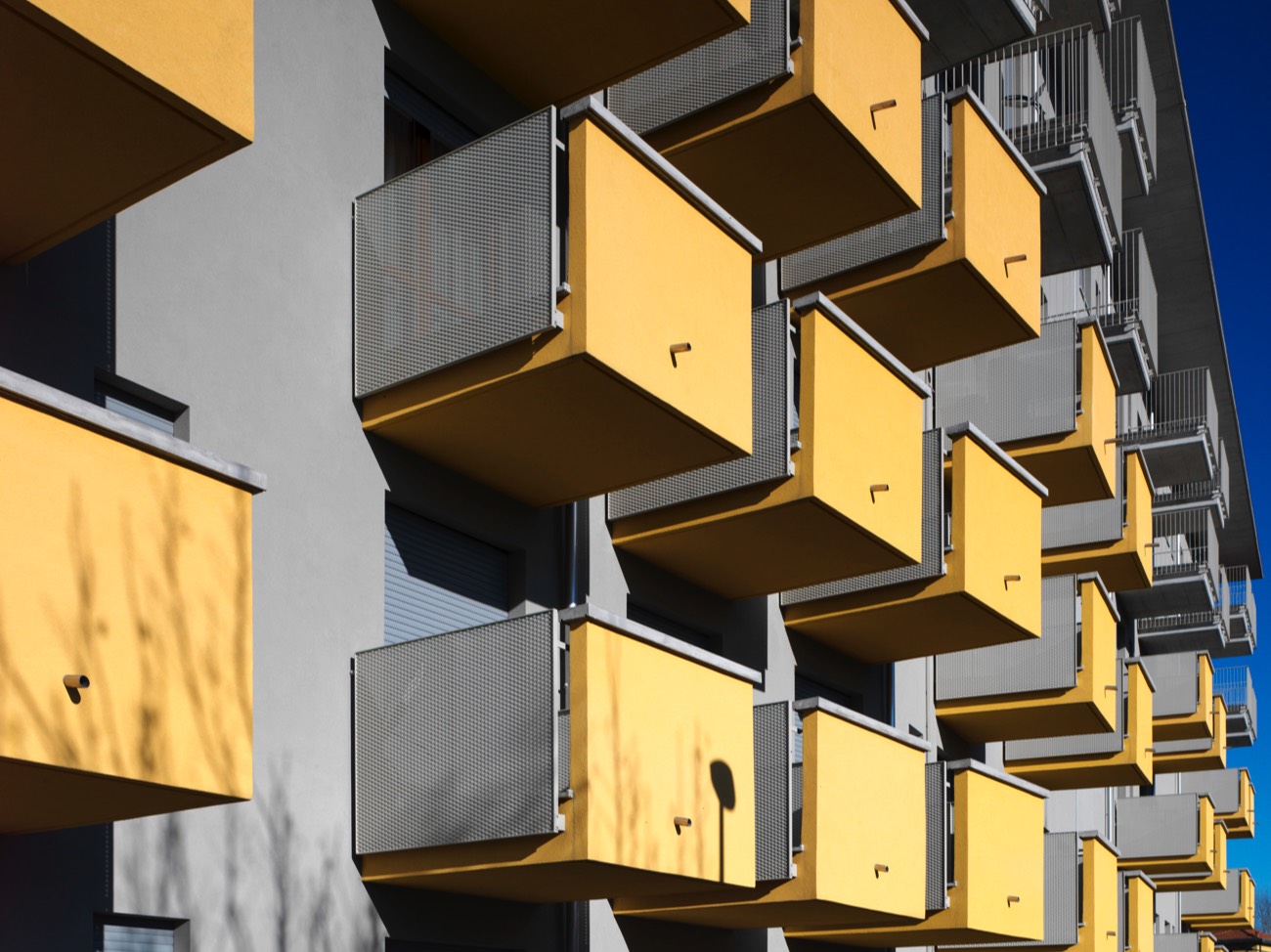 A short description about the picture goes here