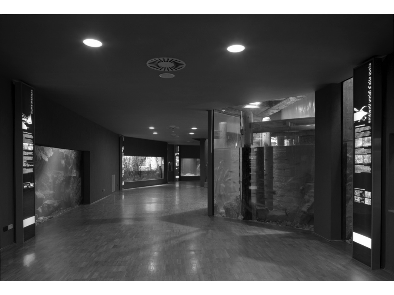 A short description about the picture goes here