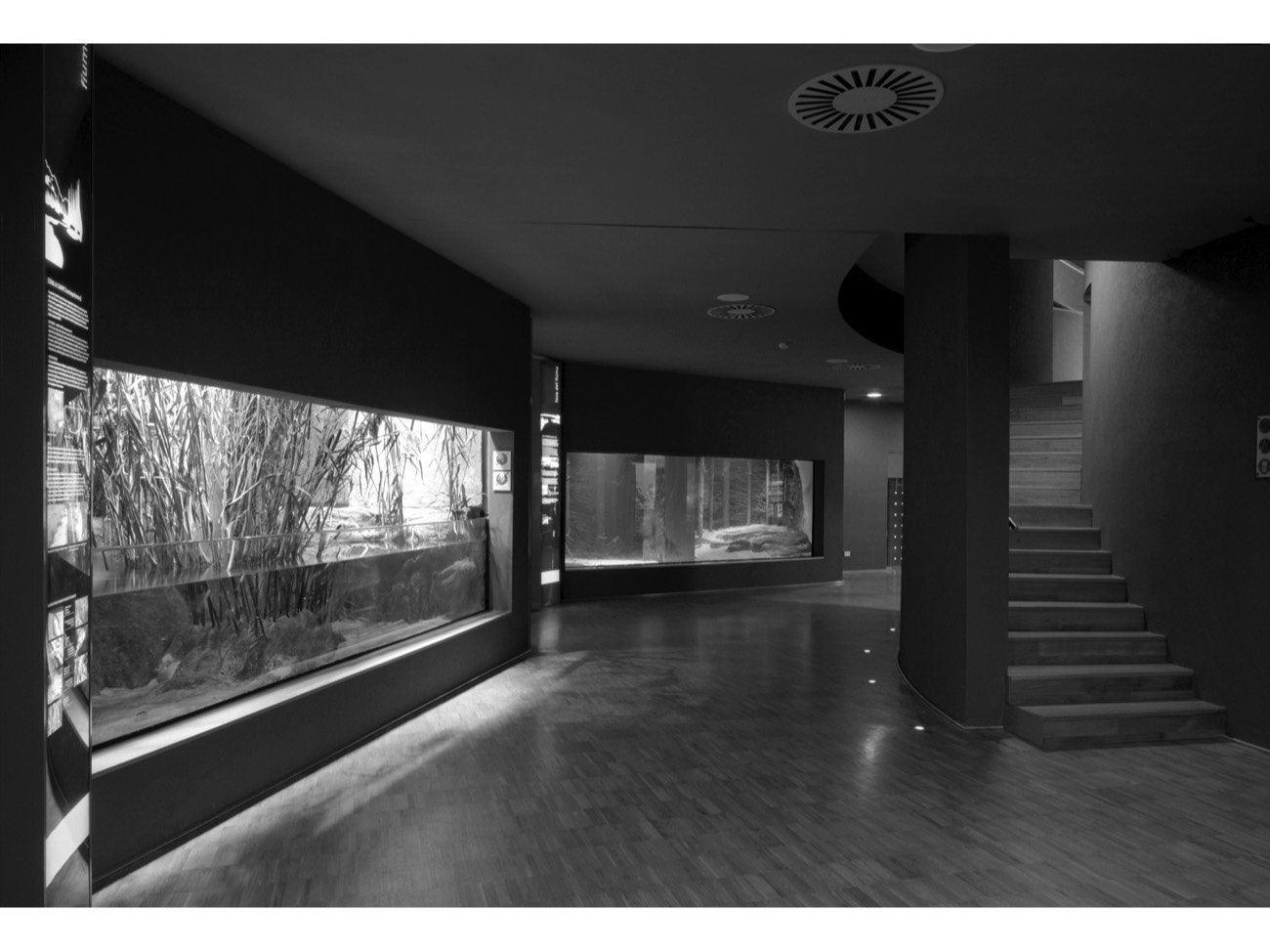 A short description about the picture goes here