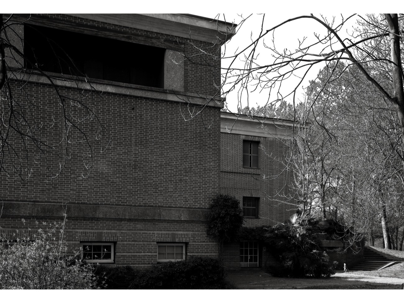 A short description about the picture goes here