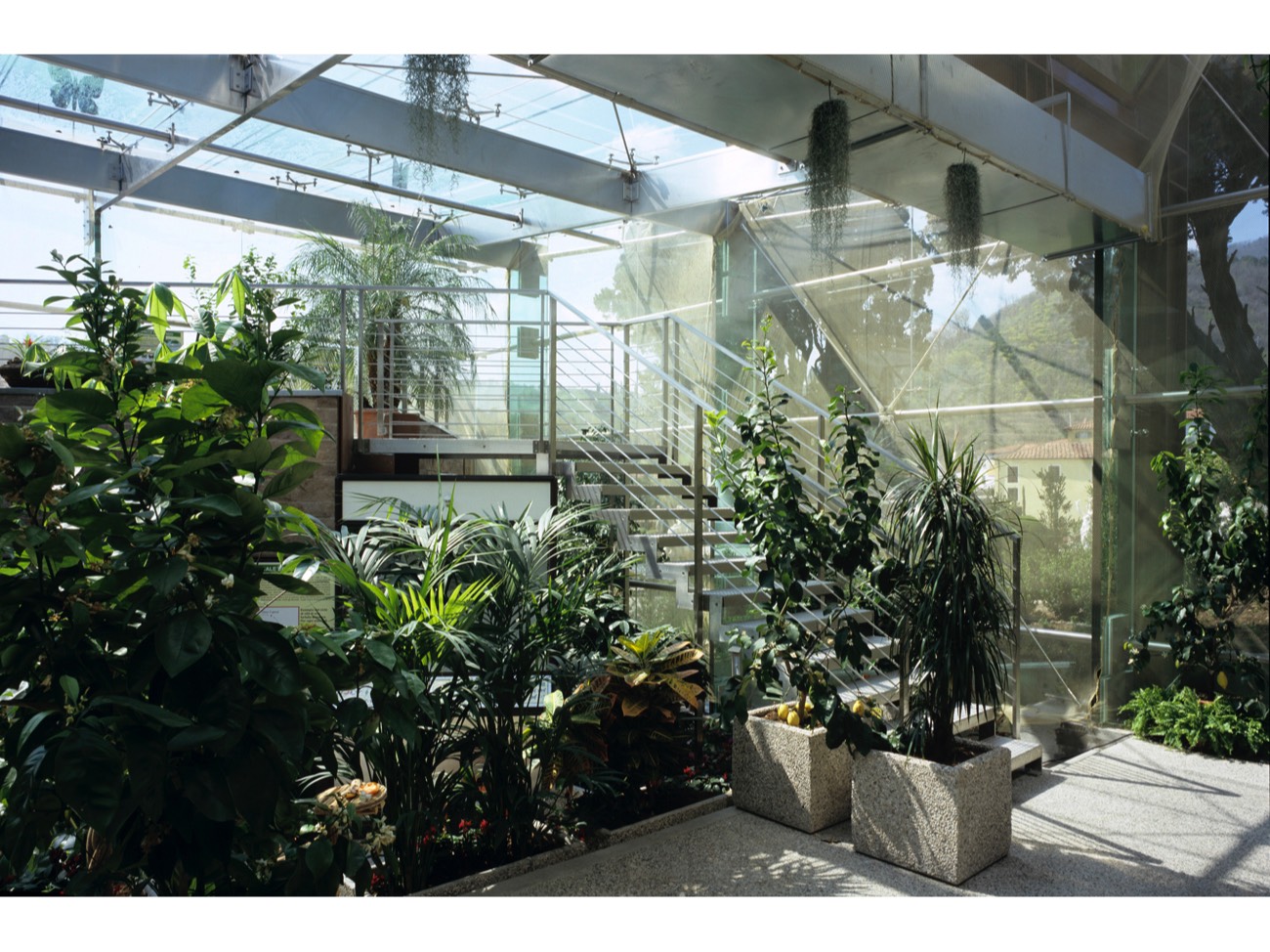 A short description about the picture goes here