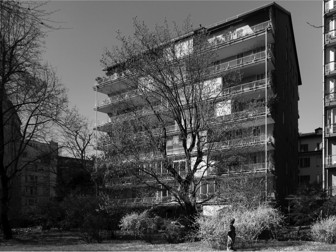 A short description about the picture goes here