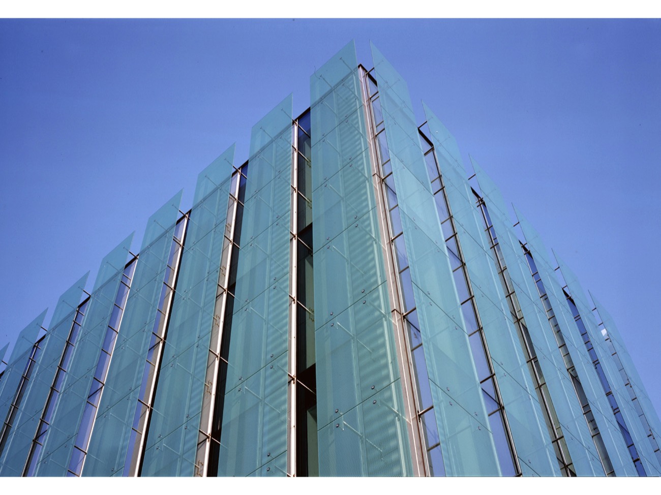 A short description about the picture goes here