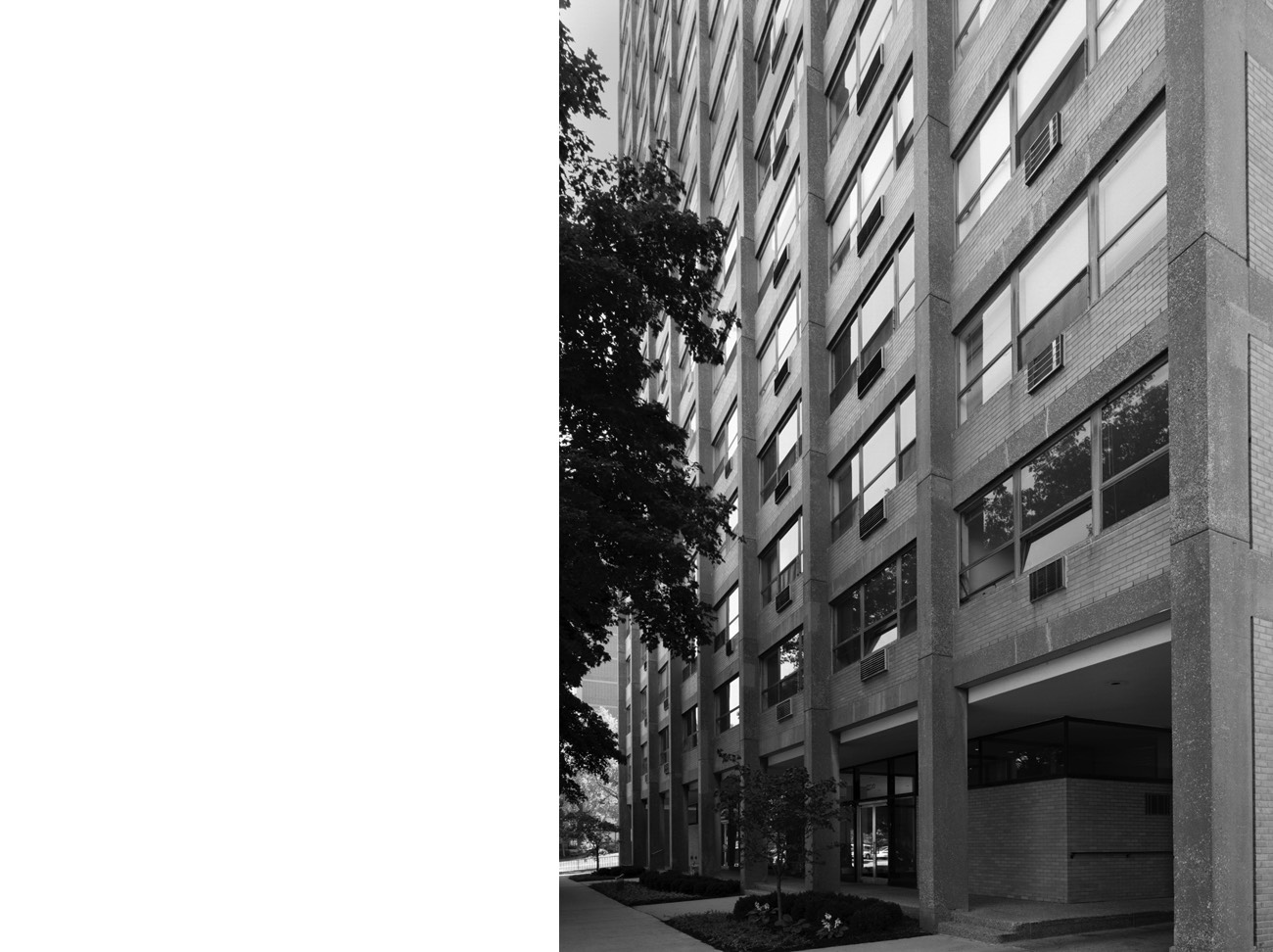 A short description about the picture goes here