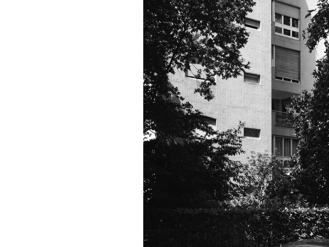 A short description about the picture goes here