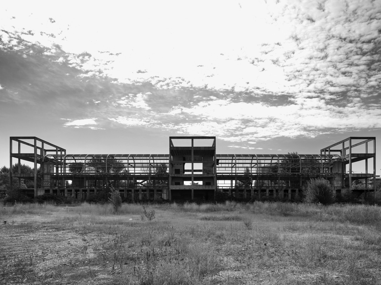 A short description about the picture goes here