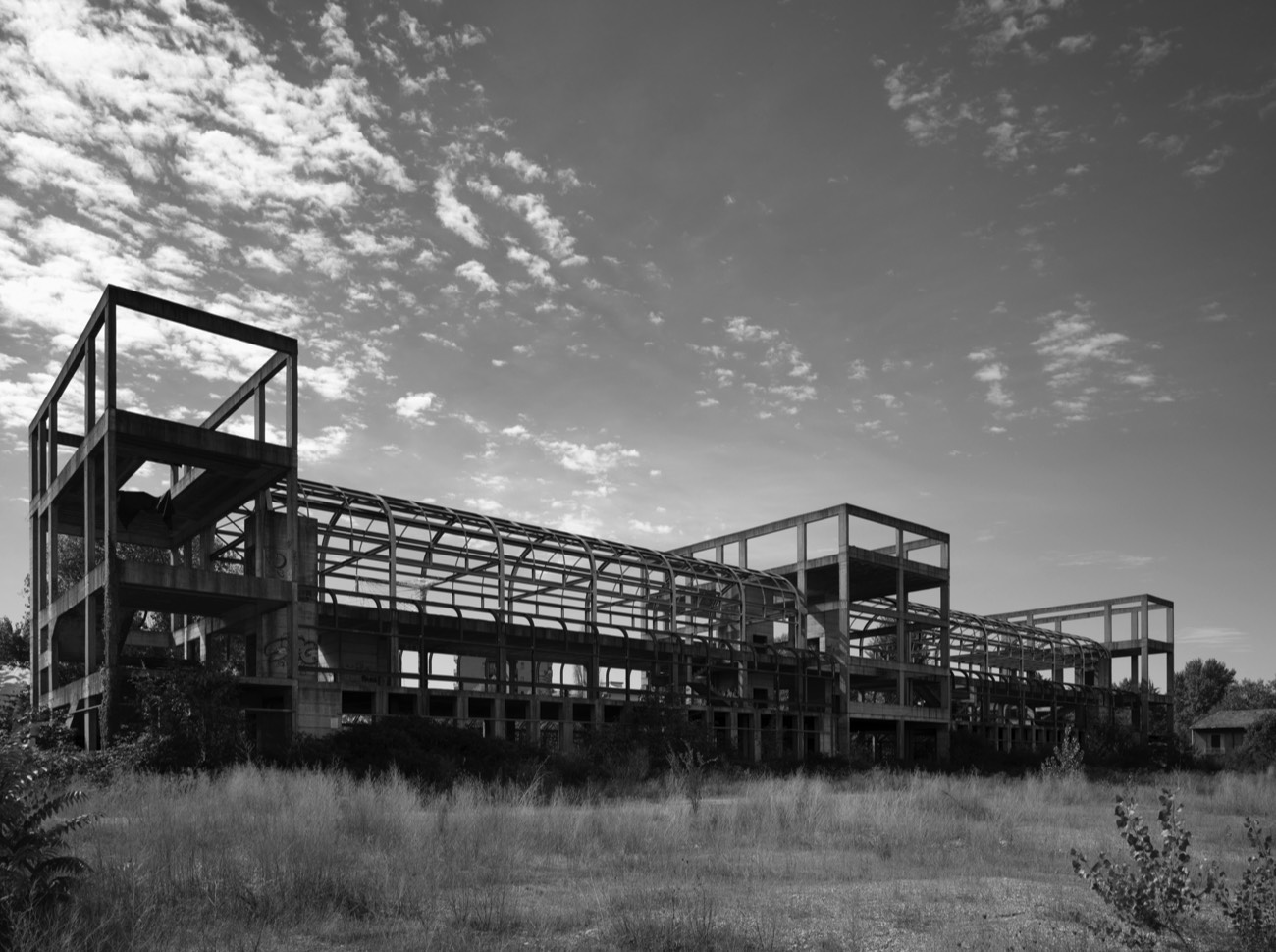 A short description about the picture goes here