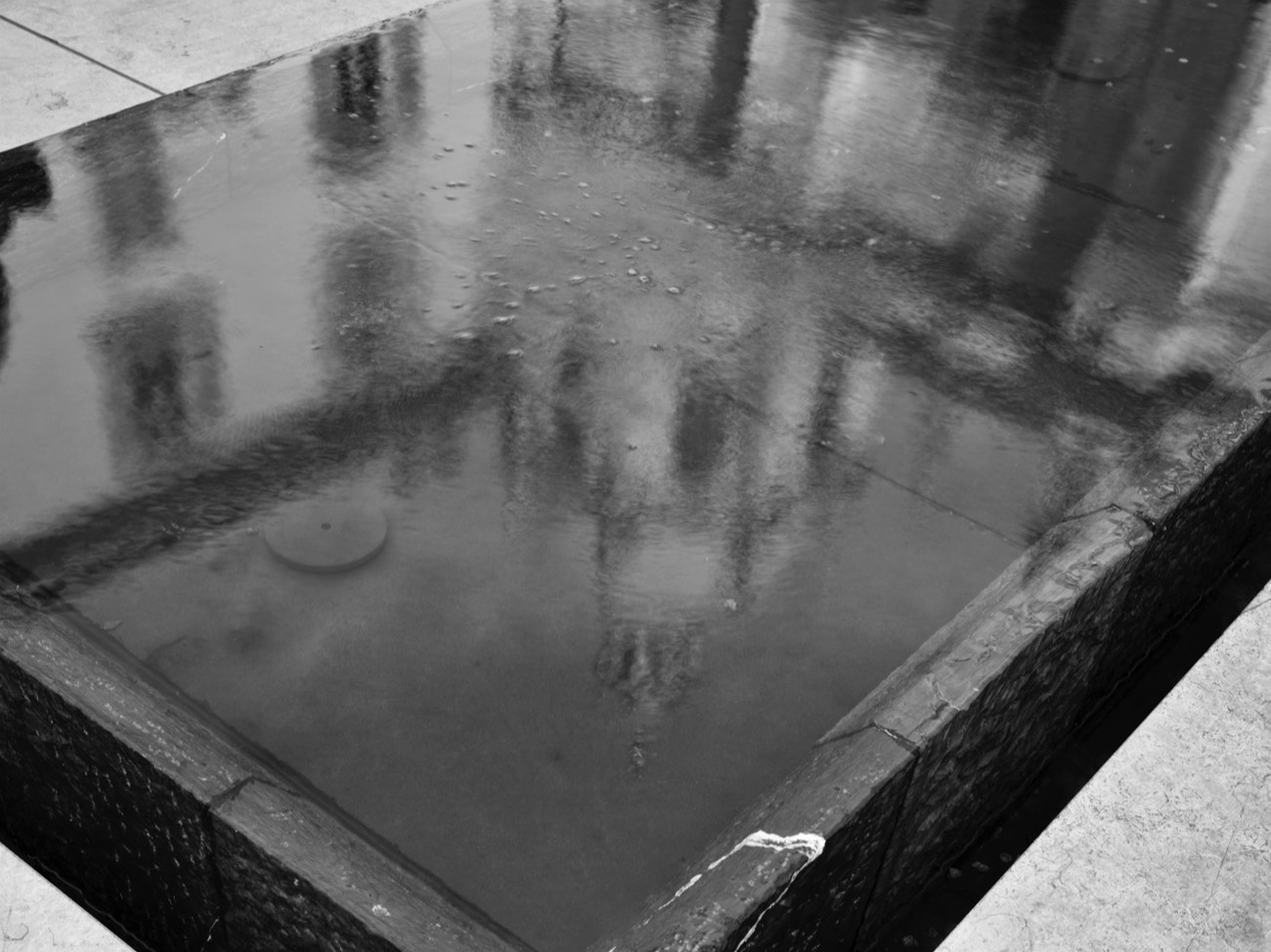 A short description about the picture goes here