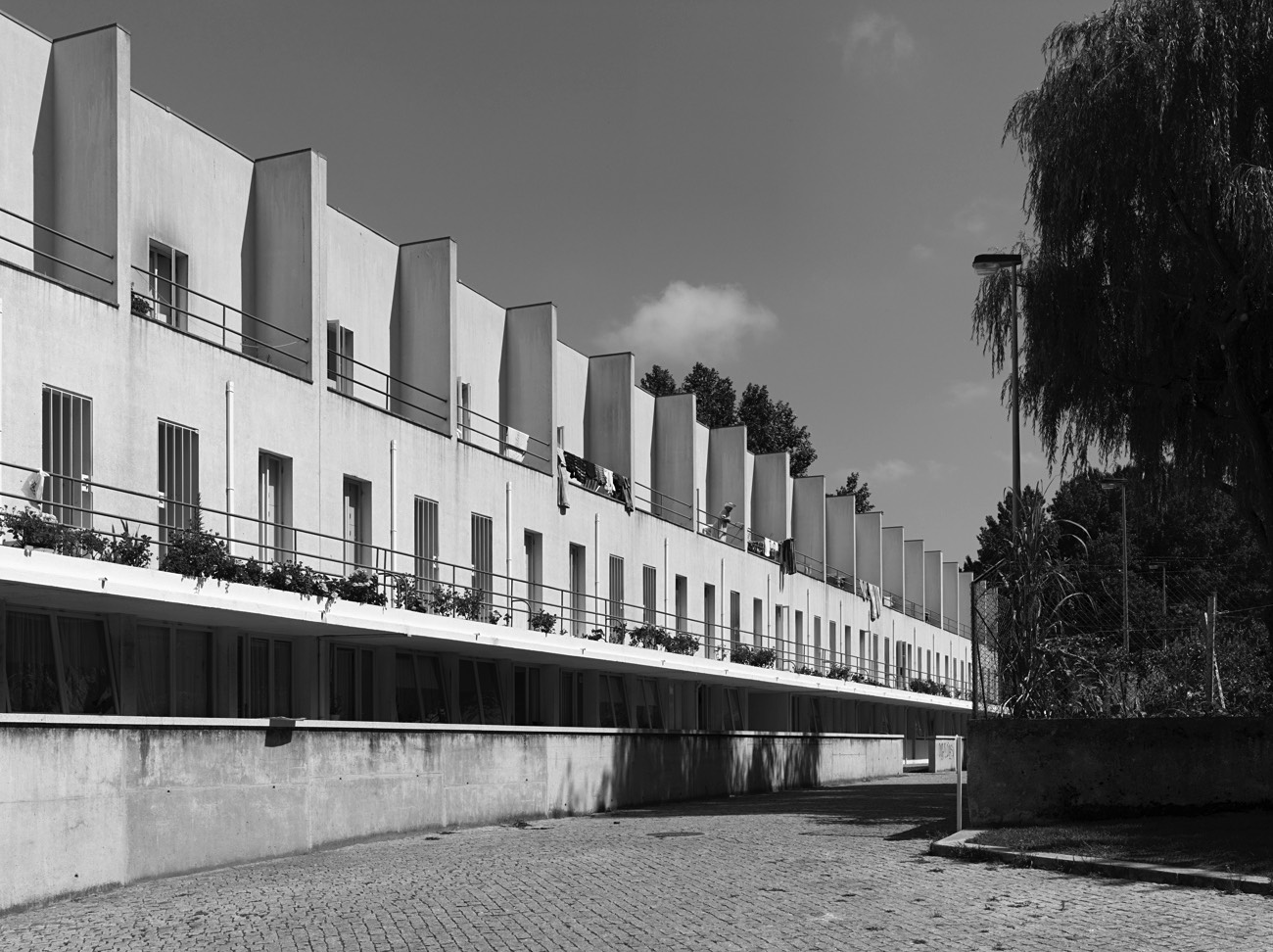 A short description about the picture goes here