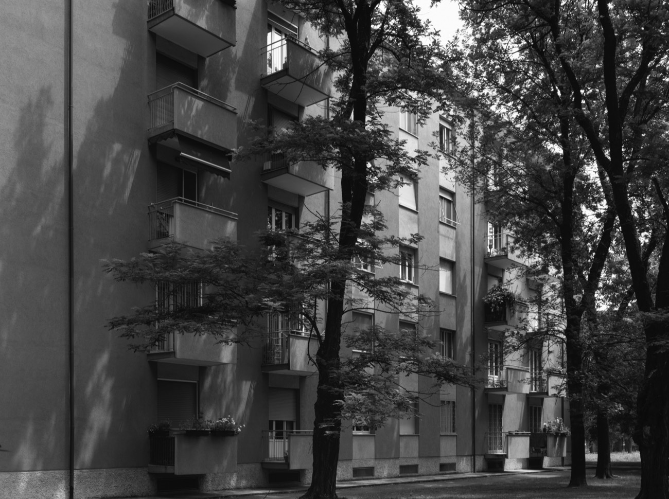 A short description about the picture goes here