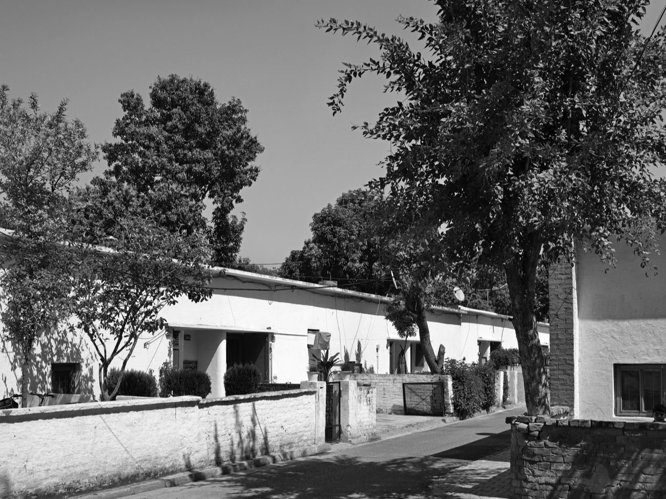 A short description about the picture goes here