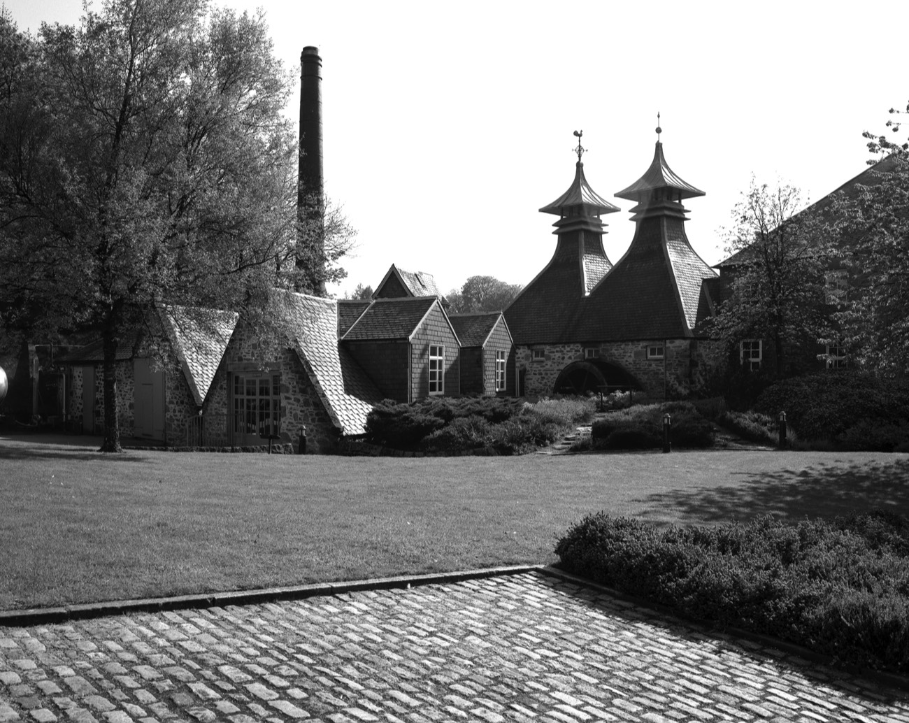 A short description about the picture goes here