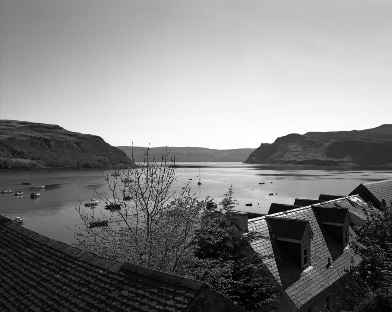 A short description about the picture goes here