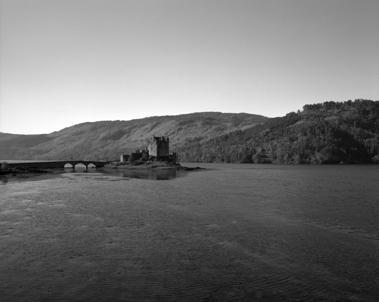 A short description about the picture goes here