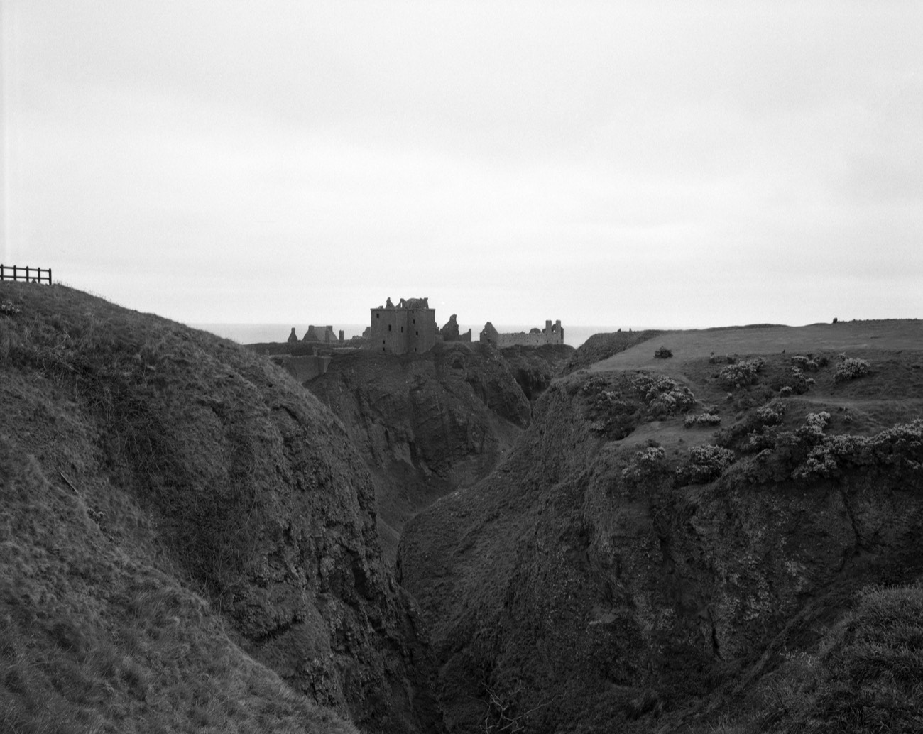 A short description about the picture goes here