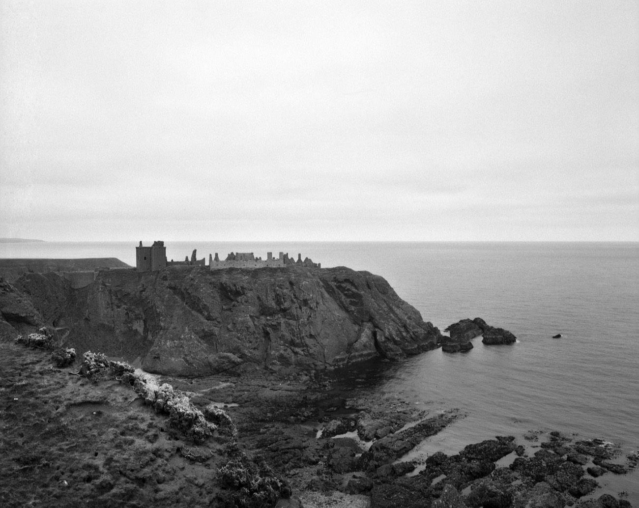 A short description about the picture goes here