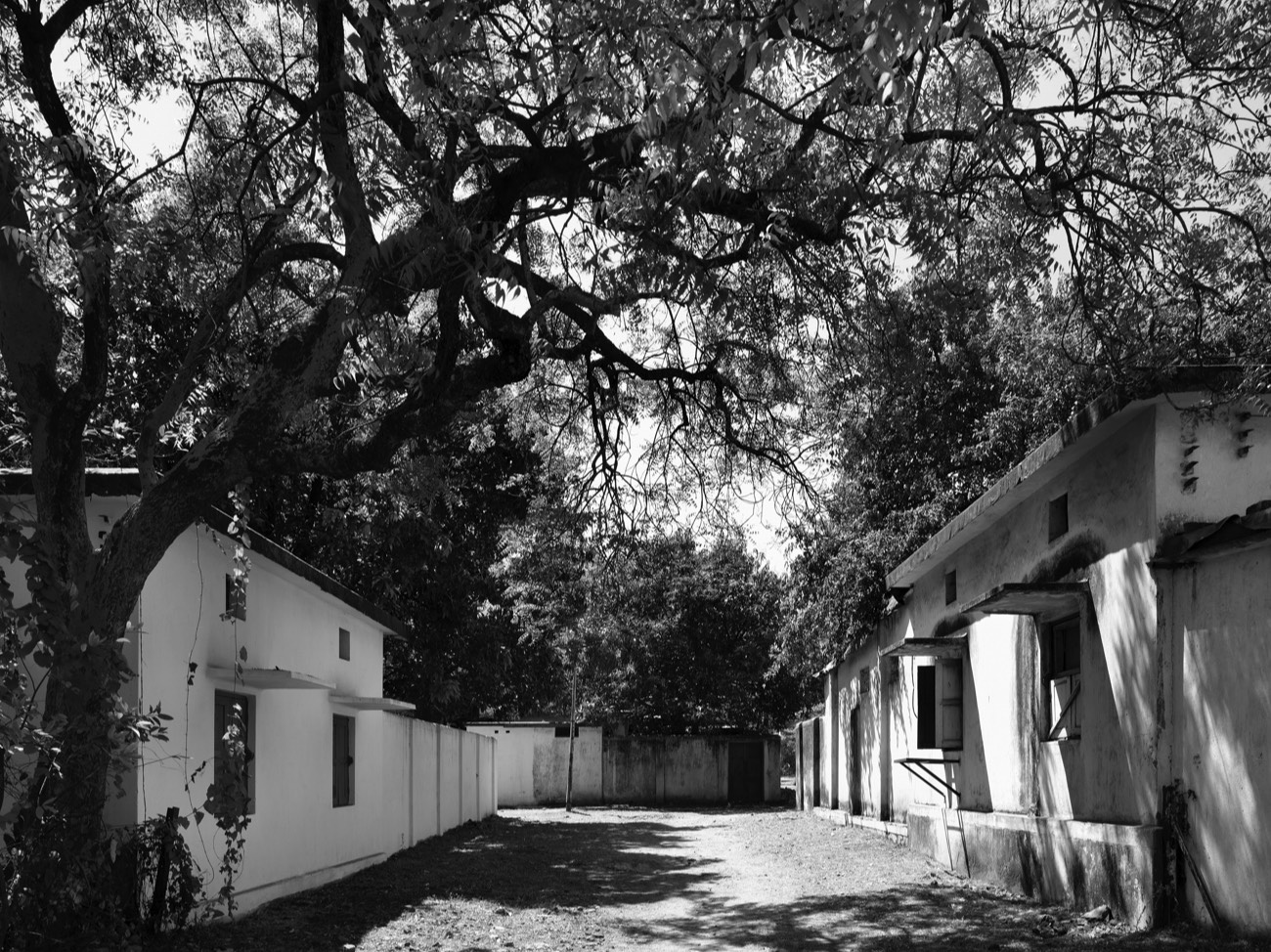 A short description about the picture goes here