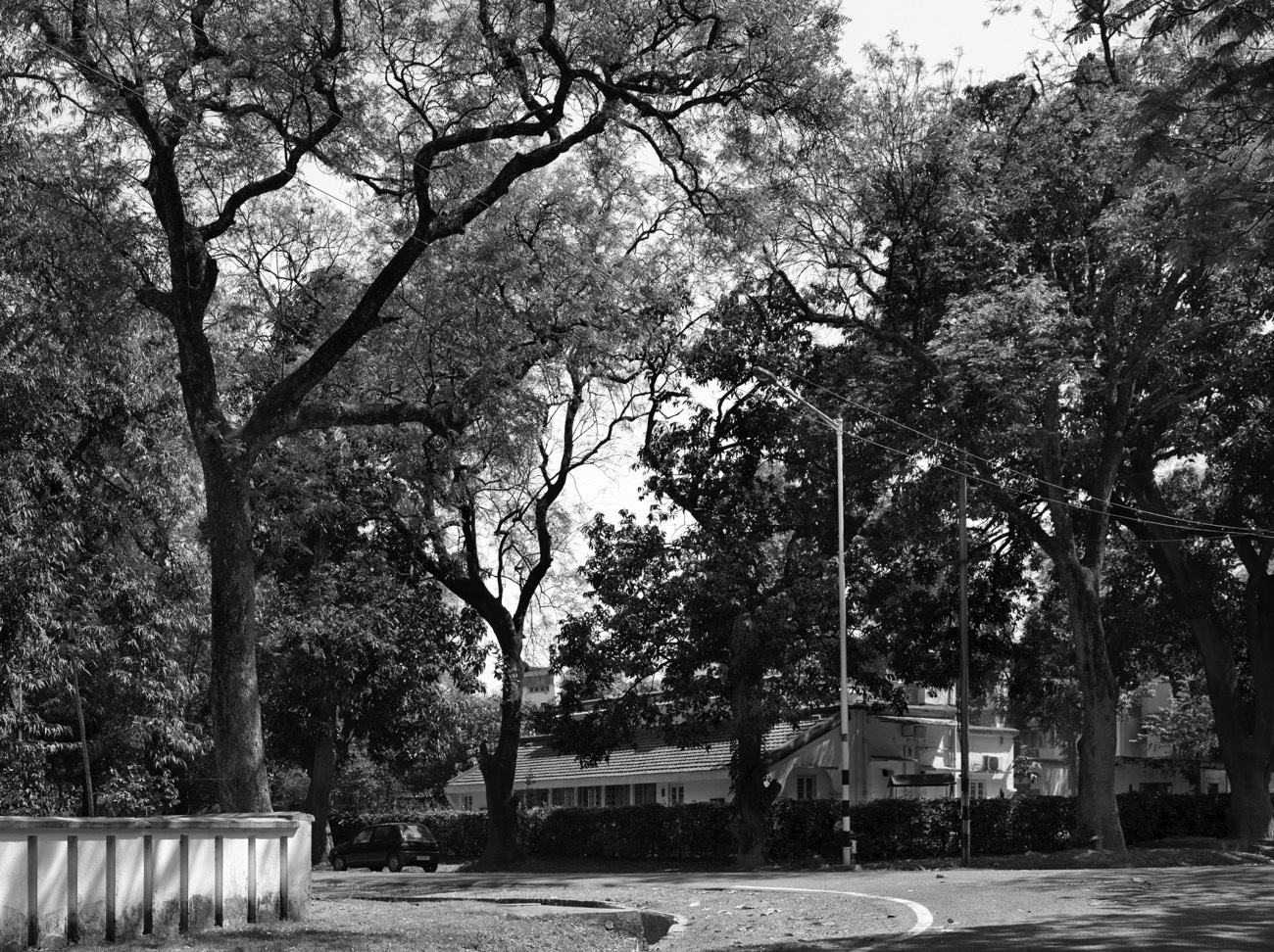 A short description about the picture goes here