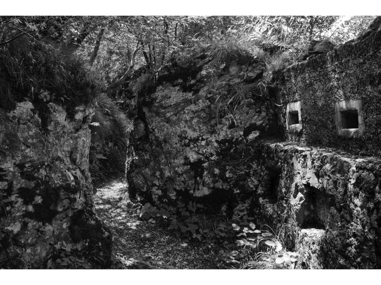 A short description about the picture goes here