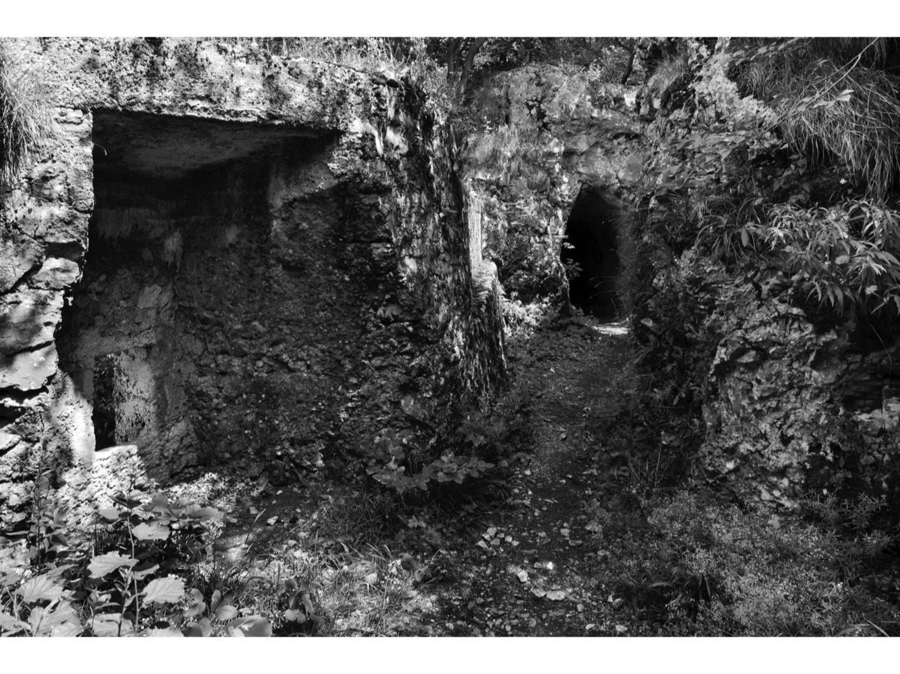 A short description about the picture goes here