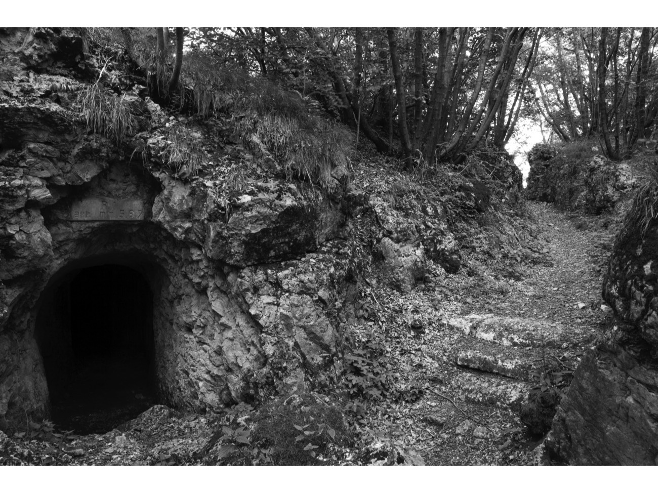 A short description about the picture goes here