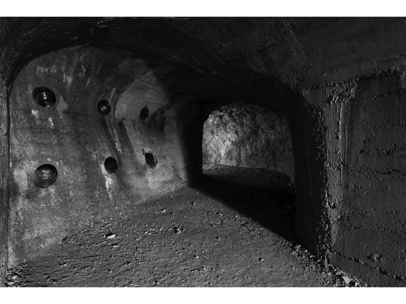 A short description about the picture goes here