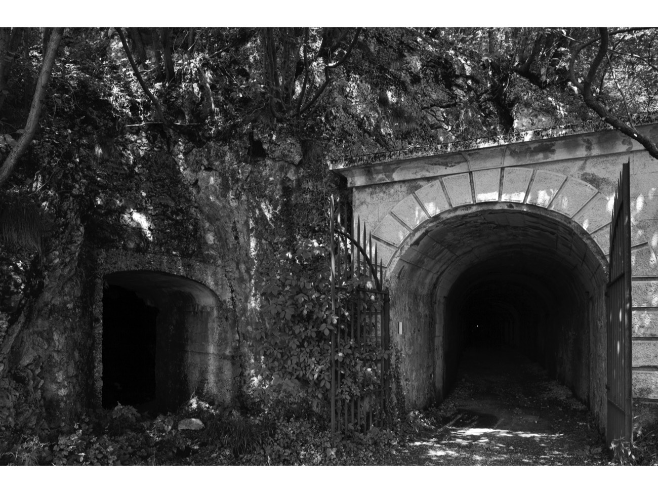 A short description about the picture goes here