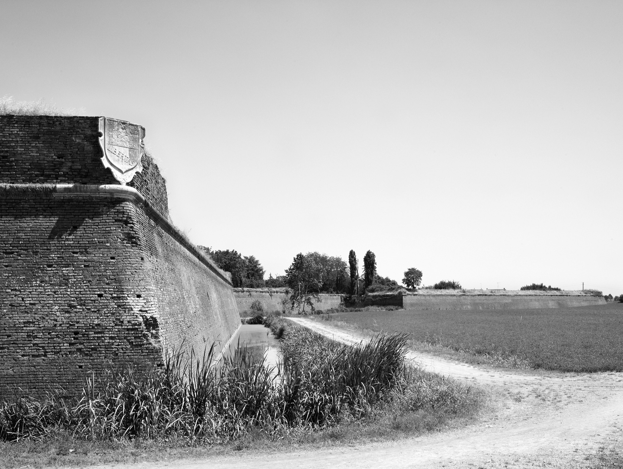 A short description about the picture goes here