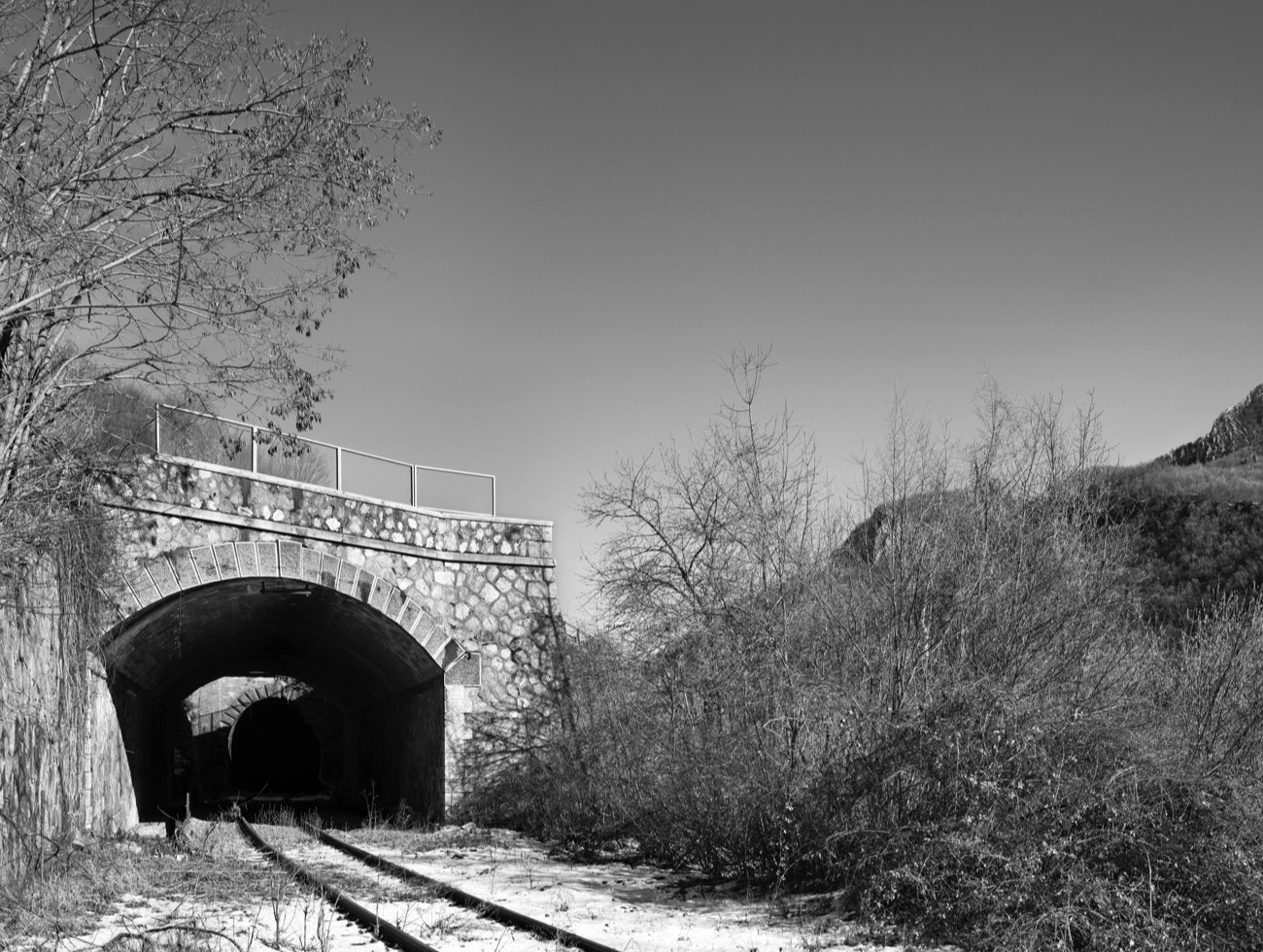 A short description about the picture goes here