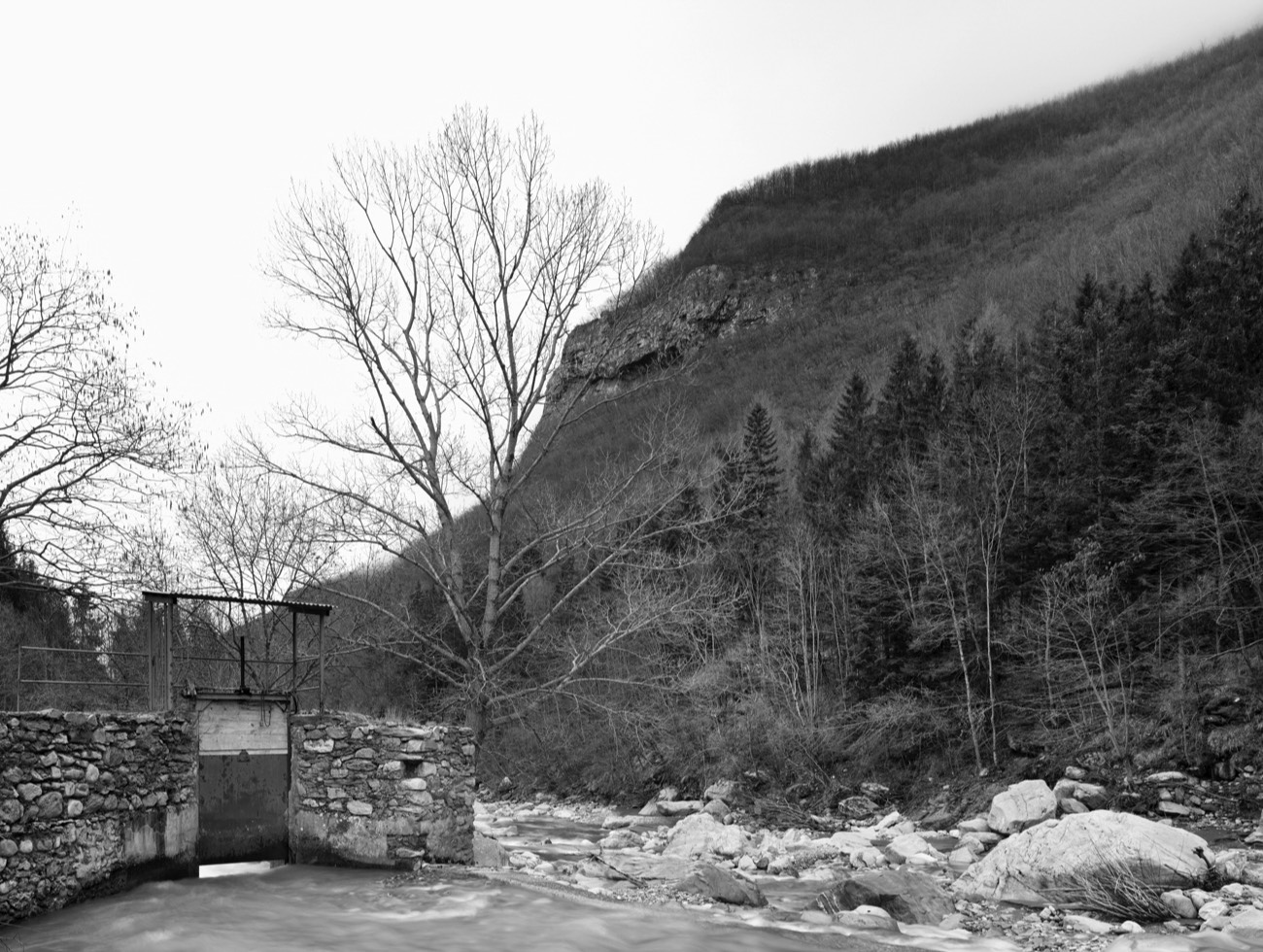 A short description about the picture goes here