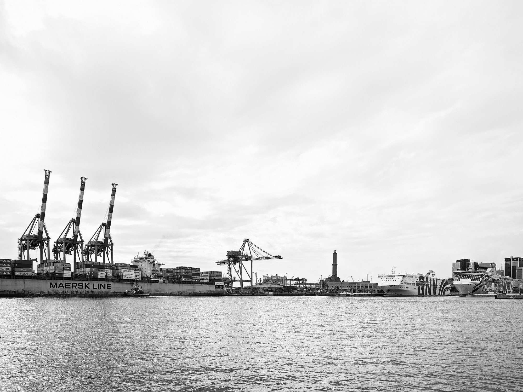 A short description about the picture goes here