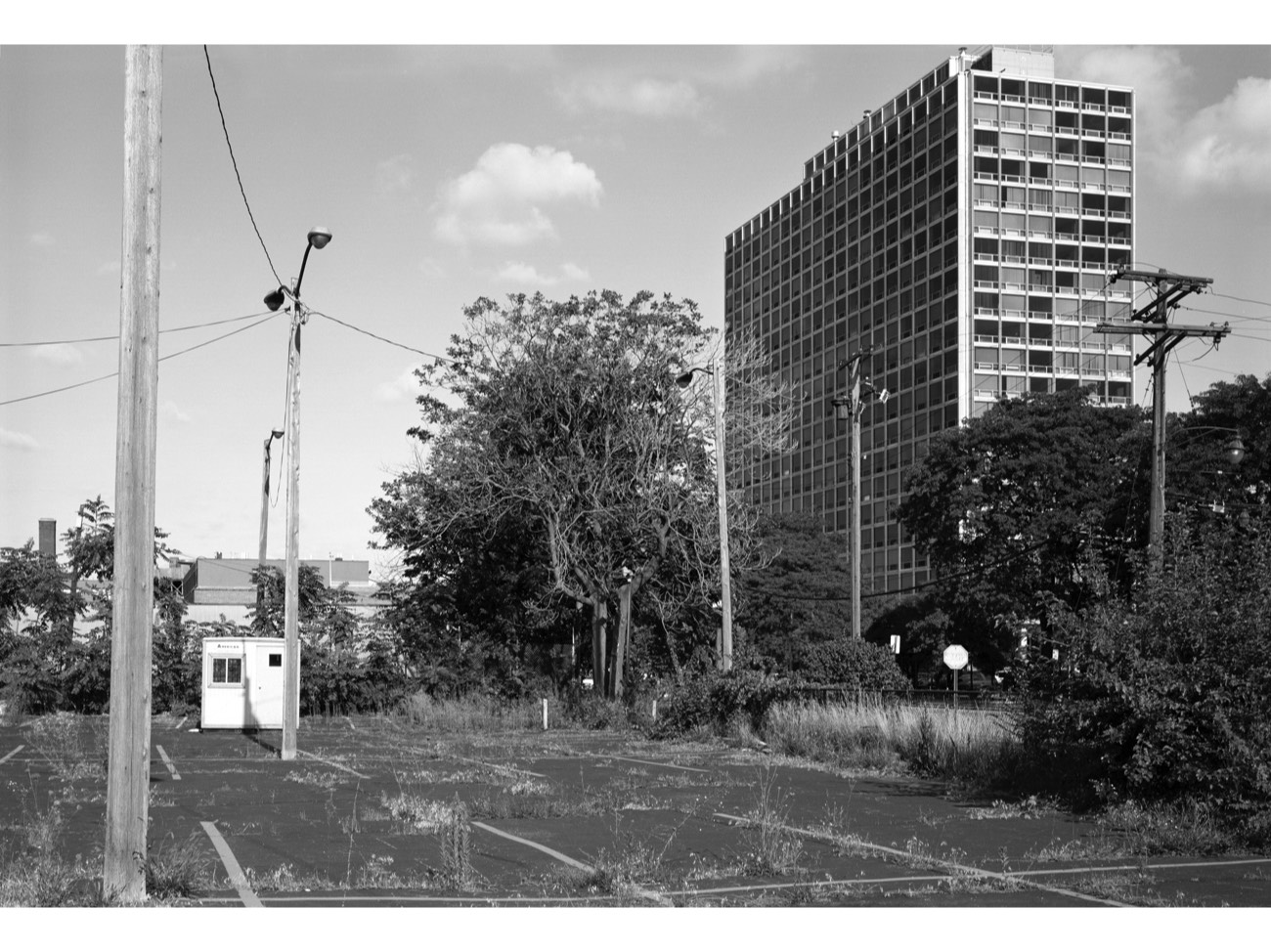 A short description about the picture goes here