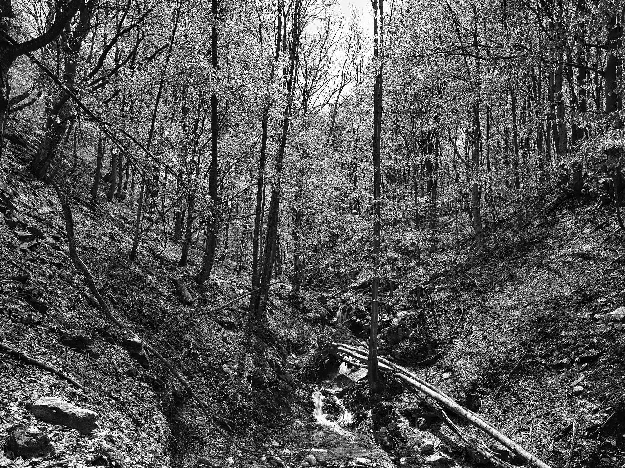 A short description about the picture goes here