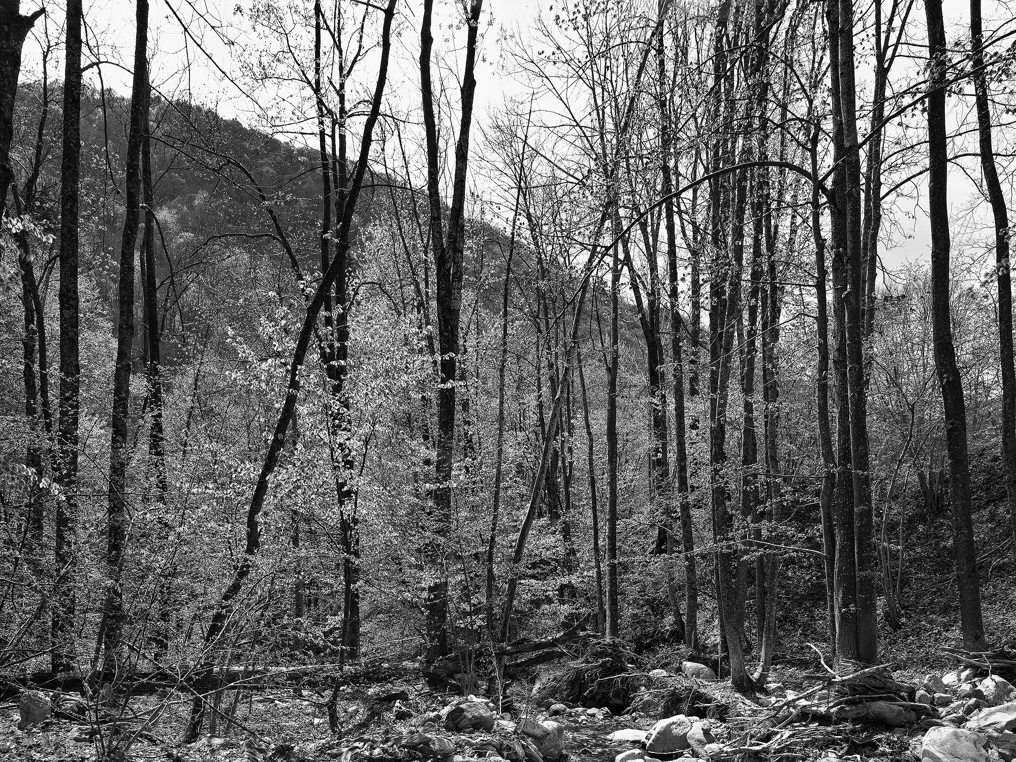 A short description about the picture goes here