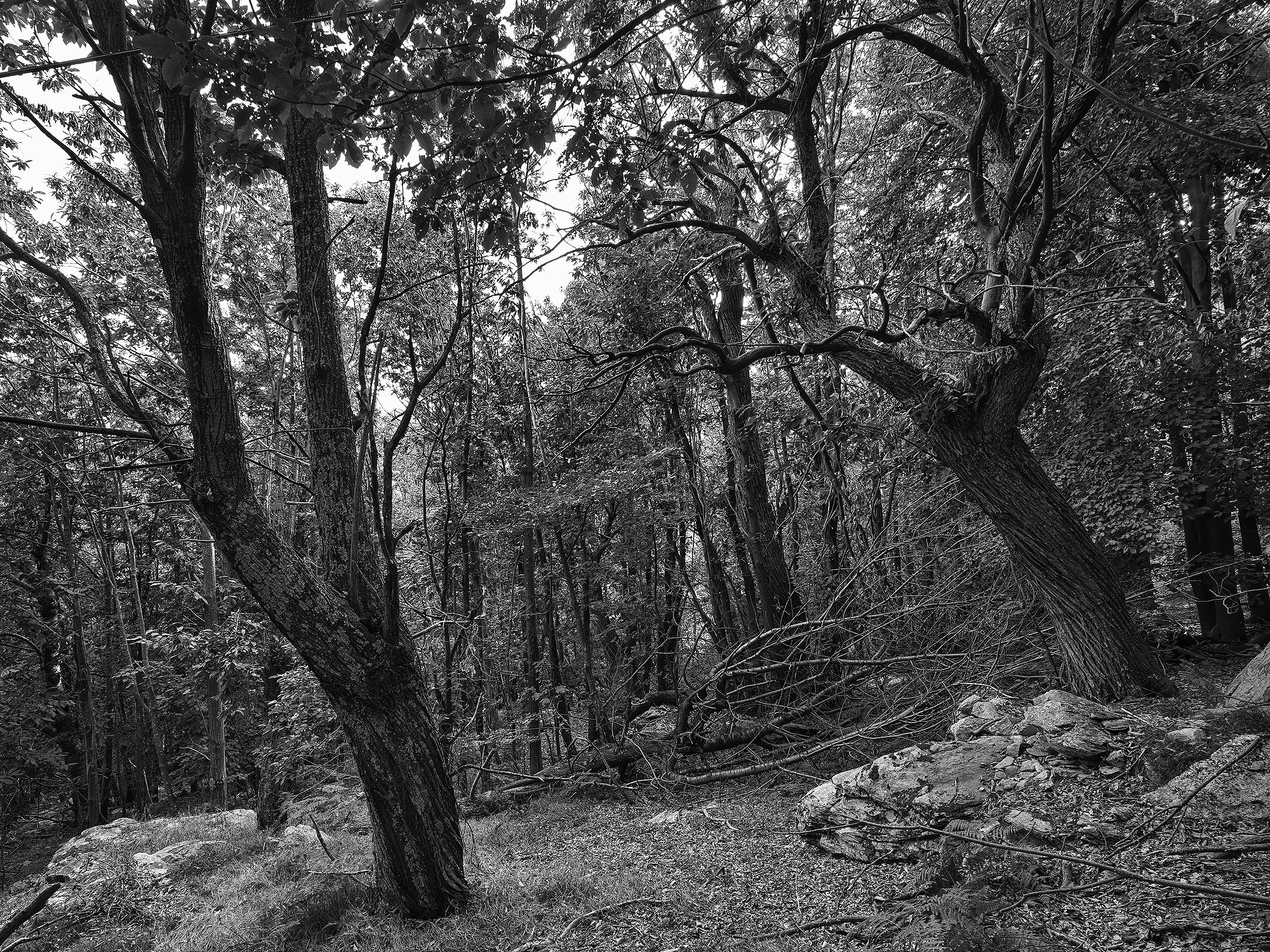 A short description about the picture goes here