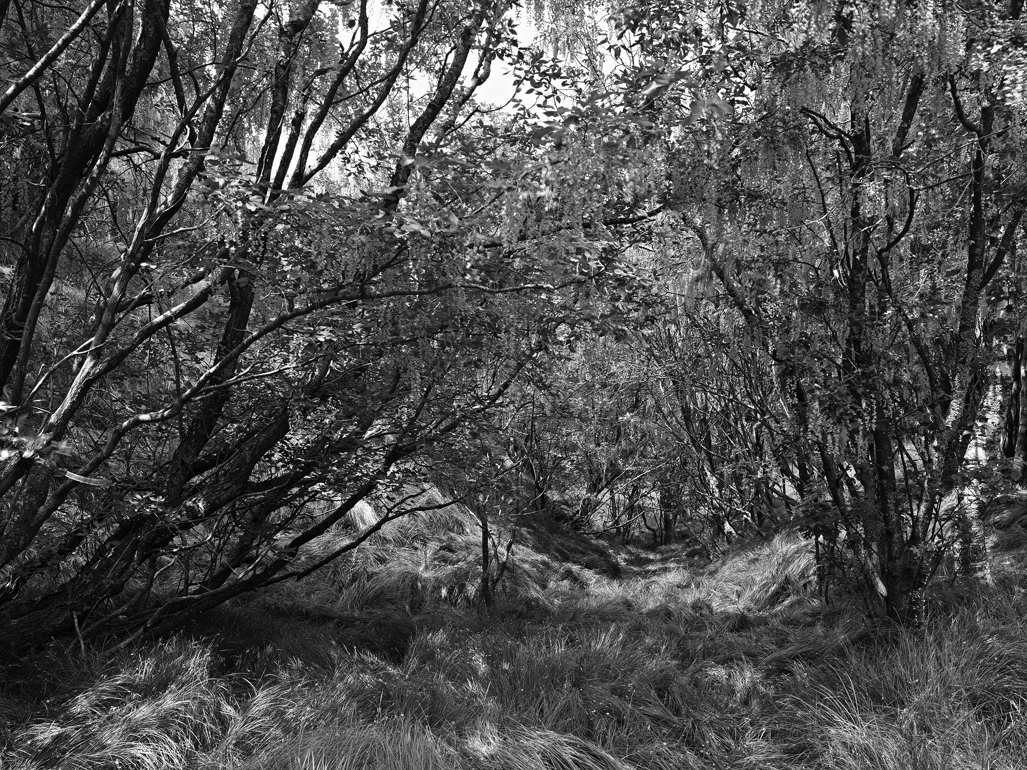 A short description about the picture goes here