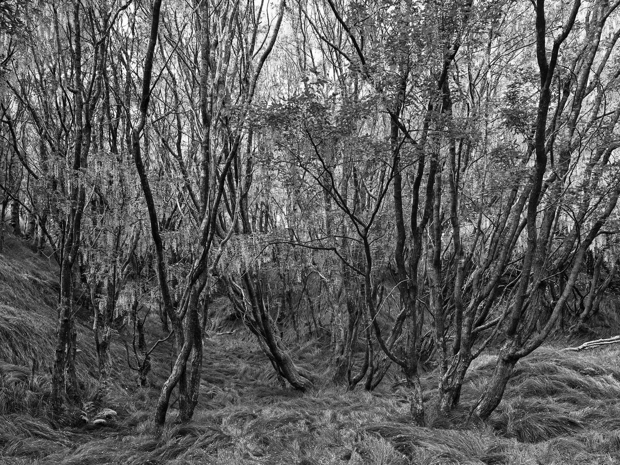 A short description about the picture goes here