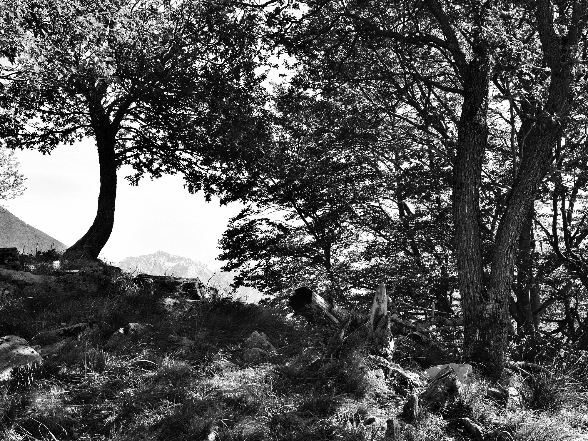 A short description about the picture goes here